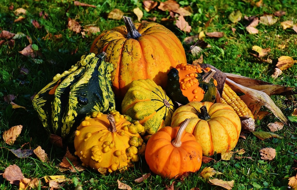 pumpkin hearth decorations