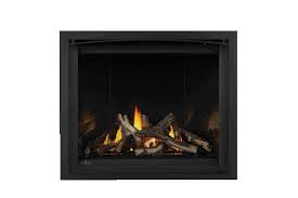 Napoleon altitude gas fireplace