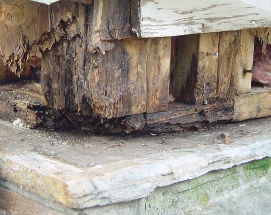rotten wood from chimney leak