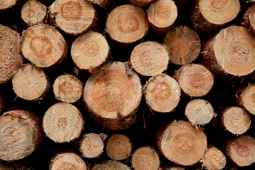 How to choose the right firewood